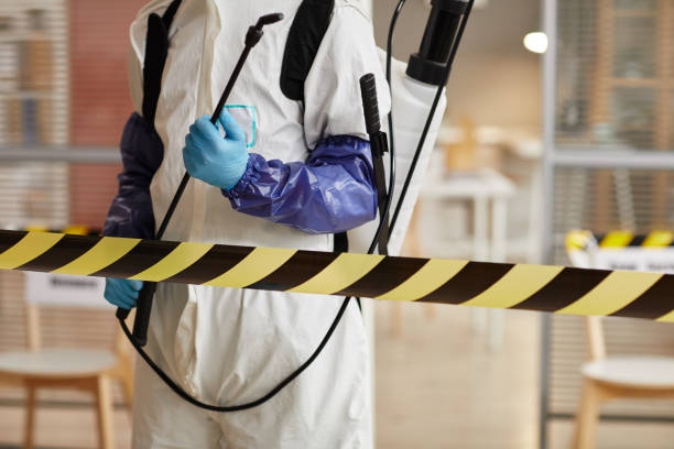 Professional Sewage Cleanup technician working in Saint Paul, NE